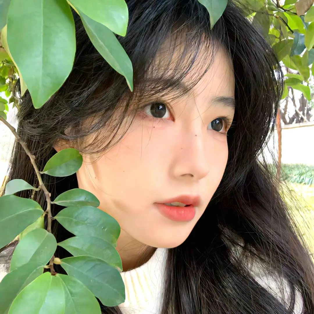 繁华梦